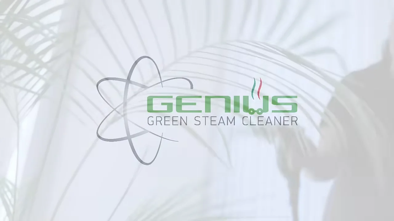 Bathroom Mold in Israel: How to Remove It — and Make Sure It Doesn’t Come Back