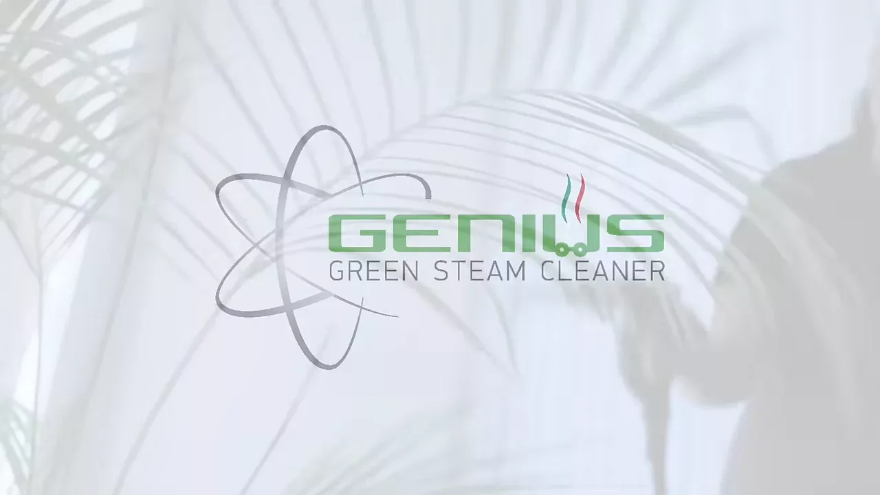 Bathroom Mold in Israel: How to Remove It — and Make Sure It Doesn’t Come Back