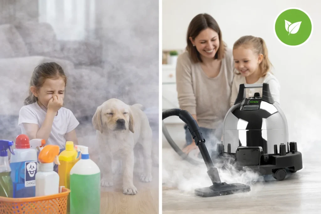 Steam Cleaning Without Chemicals in Israel – A Safer Way to Clean Your Home